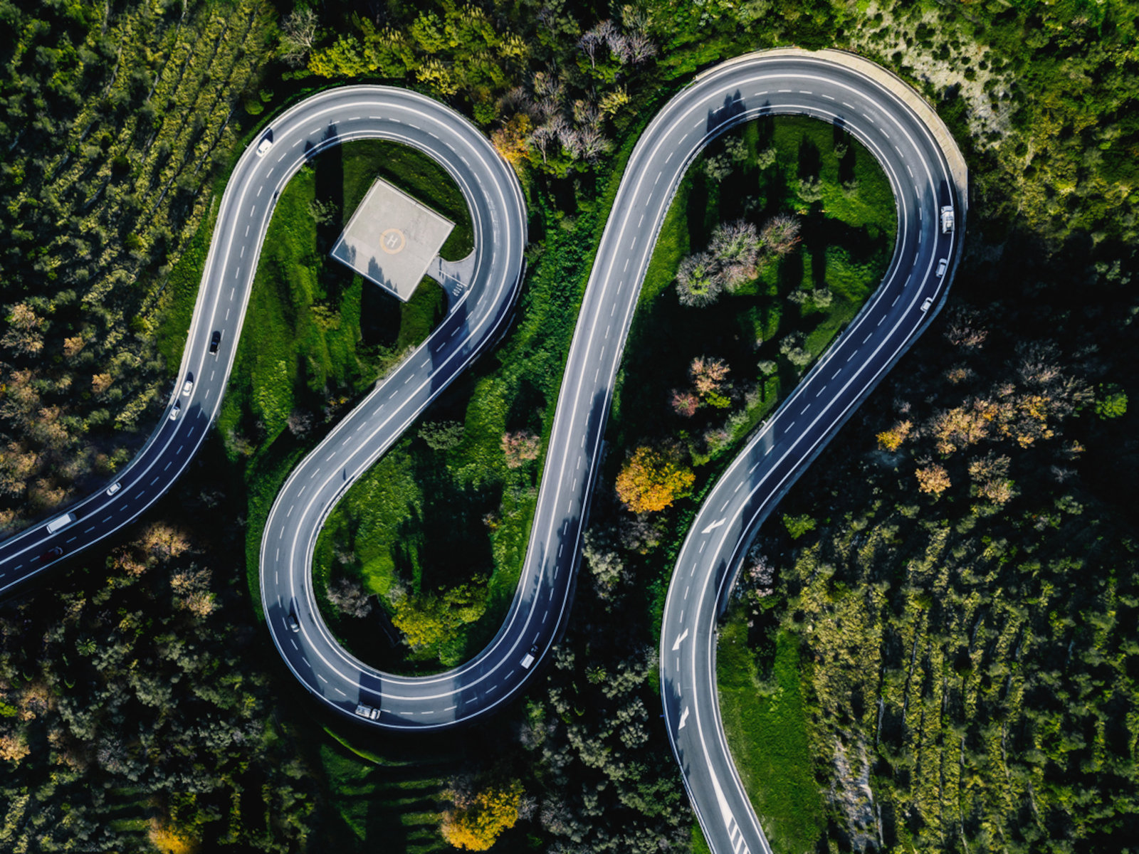 Rule of 85 NESPF