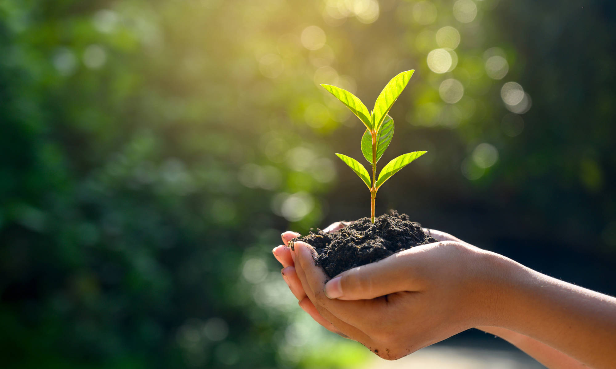 Your LGPS Pension: With you Every Step of the Way | NESPF